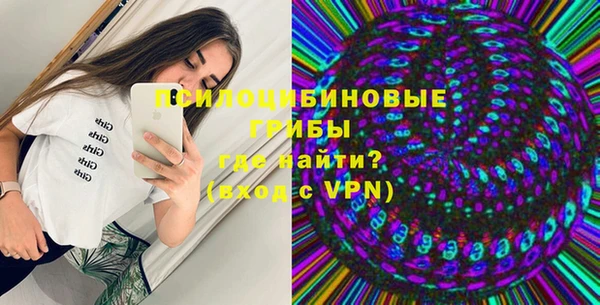 mdpv Ельня